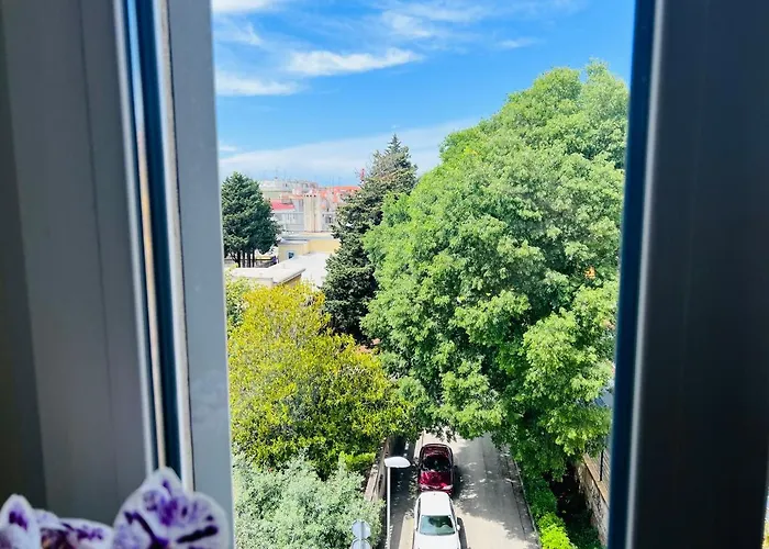 Apartment For Special Getaway Rose